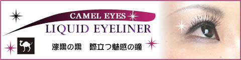 新キャメルアイ登場