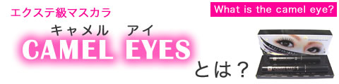 �G�N�X�e���}�X�J��CAMEL EYES�Ƃ́H�L�������A�C�̂��Љ�