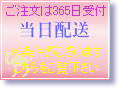 キャメルアイショップでは365日ご注文を受付。当日配送の条件はこちらをご覧下さい